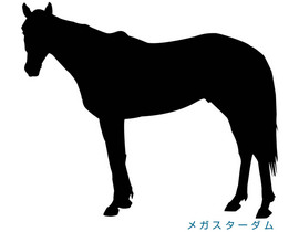 ¥á¥¬¥¹¥¿¡¼¥À¥à-¥·¥ë¥¨¥Ã¥È