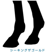¥·¡¼¥¥ó¥°¥¶¥´¡¼¥ë¥É-µÓ