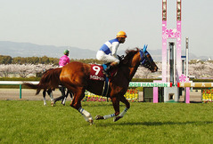 大阪杯 ダイワスカーレット 返し馬