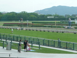 7/5ʡ�祴������