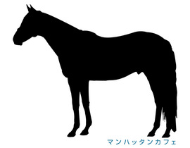 �ޥ�ϥå��󥫥ե�-���륨�å�