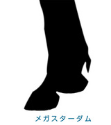 ¥á¥¬¥¹¥¿¡¼¥À¥à-µÓ