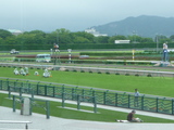 7/4ʡ�祴������