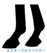 ¥ß¥¹¥¿¡¼¥×¥í¥¹¥Ú¥¯¥¿¡¼-µÓ