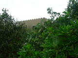 060715lasa-wall