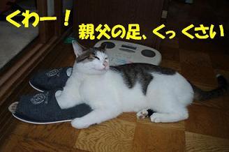 tarou3