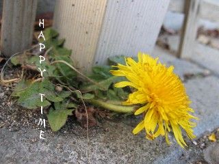 ����ݤ�