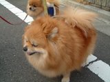 sanpo7