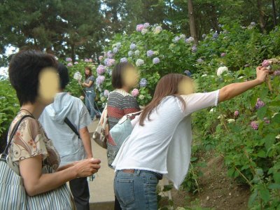 23ec597a.jpg