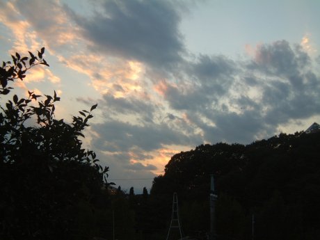 2e537a93.jpg