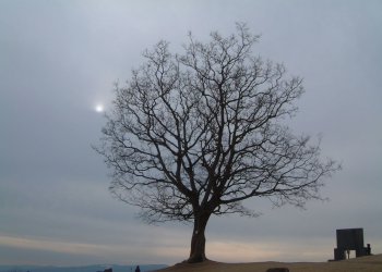 58688944.jpg