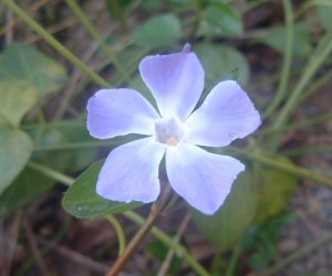 6f6ff06f.JPG