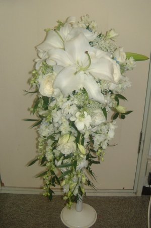 7521cd03.jpg