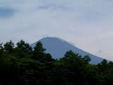 yamanaka2