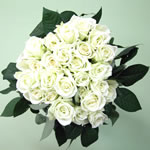 ad26110c.jpg