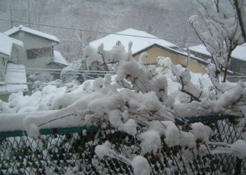 c091af43.jpg