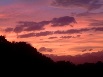 c2d063e0.jpg