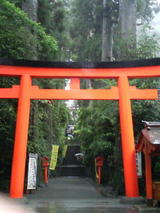 0be028a8.JPG