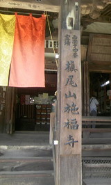 04961d16.jpg