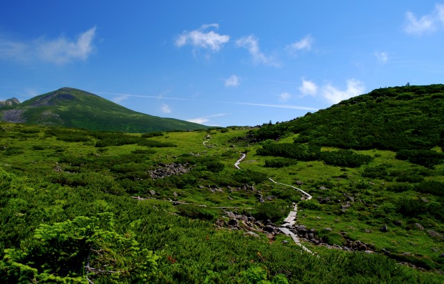 DSC_3190