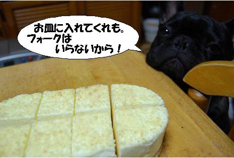 切っただけ