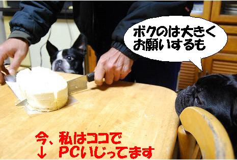 ケーキカット