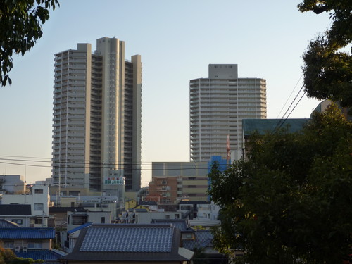 P1000113