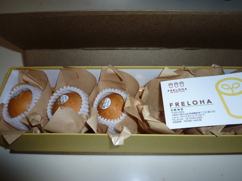 P1000094