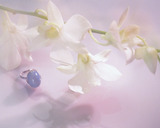 �ϥ磻���󥸥奨�꡼�ڥ�󥰡�