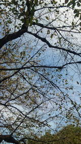 39f8968c.jpg