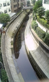 47f83707.jpg