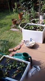 53d74252.jpg