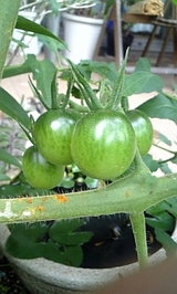 5cb7018f.jpg