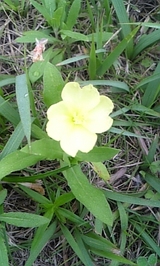 9f0299c7.jpg