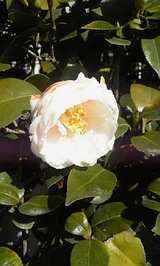 b5e92eb7.jpg