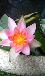 d054d4b8.jpg