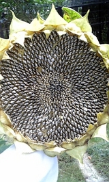 d9b7604f.jpg