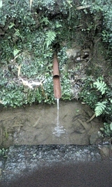 e5941868.jpg