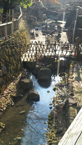 e72e0231.jpg