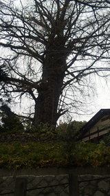 f845eca4.jpg