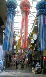 fc254494.jpg