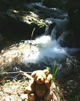 833359ac.jpg