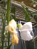 d3bd8497.jpg