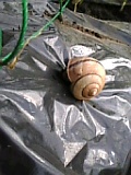e6c548e5.jpg