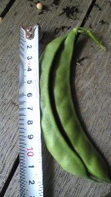 f2760ea9.jpg