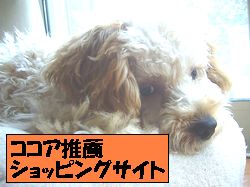 ����åԥ󥰥�������Ӥ�