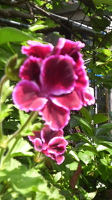 75f7e4fc.jpg