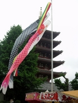 85161d11.jpg