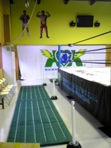554b55f7.jpg