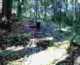 04c4903a.jpg